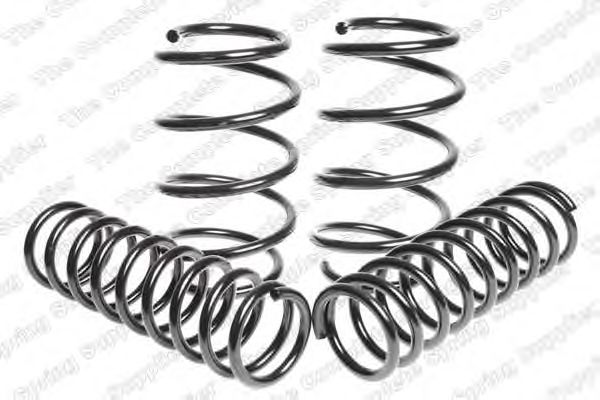 Suspension Kit, coil springs 4595825