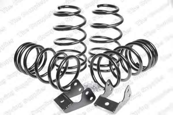 Suspension Kit, coil springs 4595835