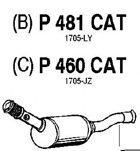 Katalysator P481CAT