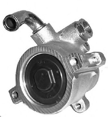 Hydraulic Pump, steering system P0501