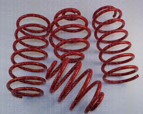 Suspension Kit, coil springs 8755 24006