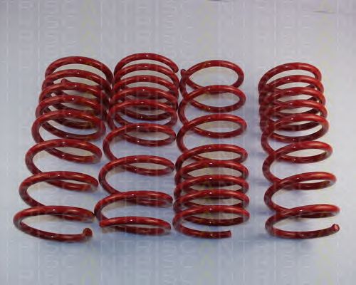 Suspension Kit, coil springs 8755 24009