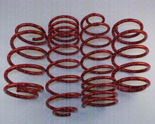Suspension Kit, coil springs 8755 24024