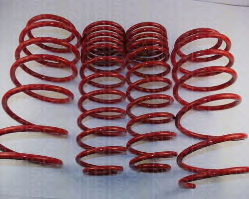 Suspension Kit, coil springs 8755 27005