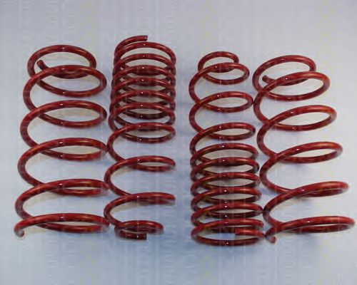 Suspension Kit, coil springs 8755 29003