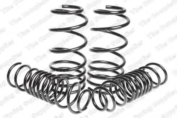 Suspension Kit, coil springs 4595064