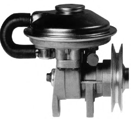 Vacuum Pump, brake system 6900078
