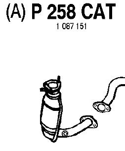 Katalysator P258CAT