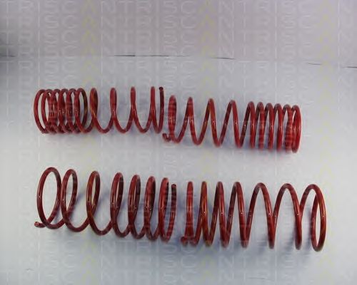 Suspension Kit, coil springs 8755 50001