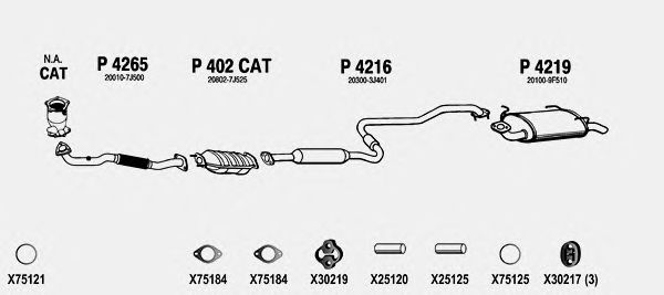 Exhaust System NI418