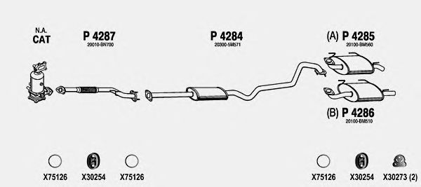 Exhaust System NI517