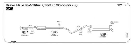 Exhaust System FI366