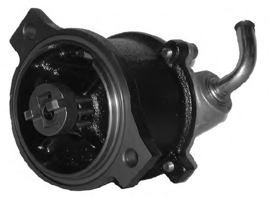 Vacuum Pump, brake system 6900026