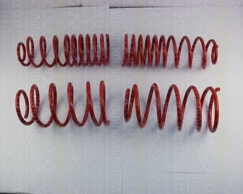 Suspension Kit, coil springs 8755 29019