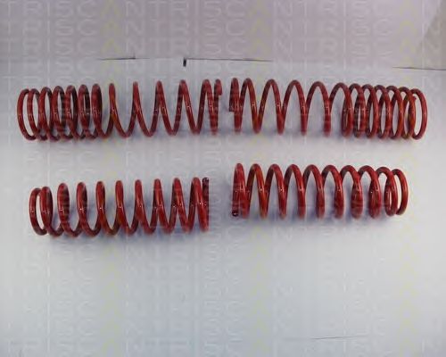 Suspension Kit, coil springs 8755 40008