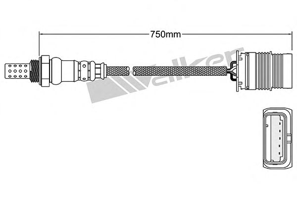 Lambda sensörü 250-24991