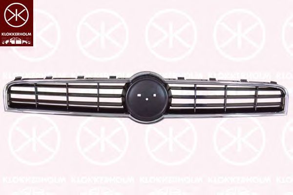 Radiator Grille 2029990A1