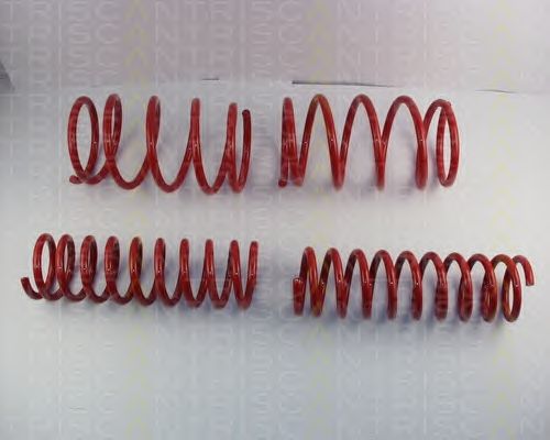 Suspension Kit, coil springs 8755 11005