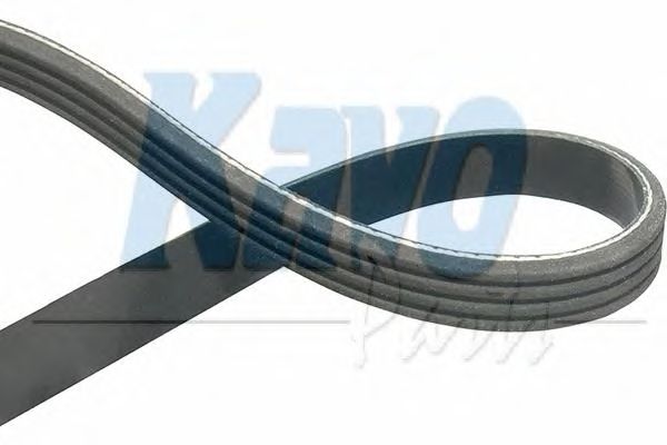 V-Ribbed Belts DMV-8506