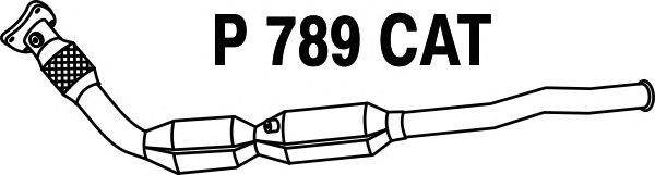 Katalizatör P789CAT