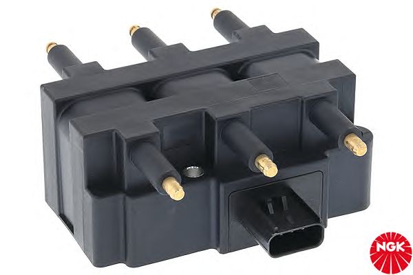 Ignition Coil 48260
