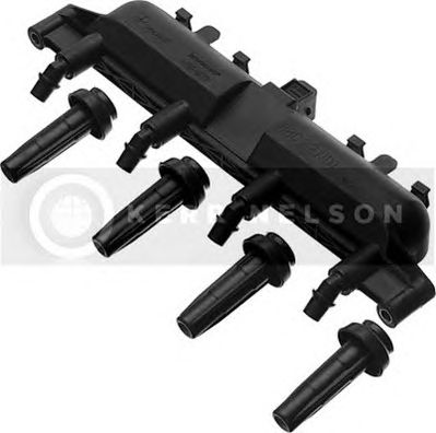 Ignition Coil IIS003
