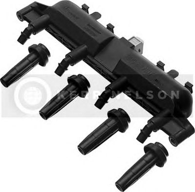 Ignition Coil IIS002