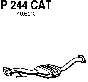 Catalytic Converter P244CAT