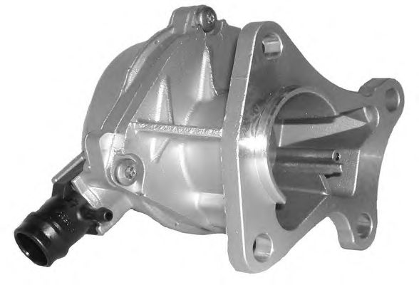 Vacuum Pump, brake system 6907220