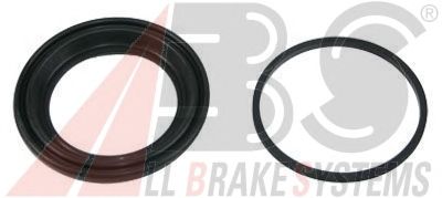 Repair Kit, brake caliper 43581