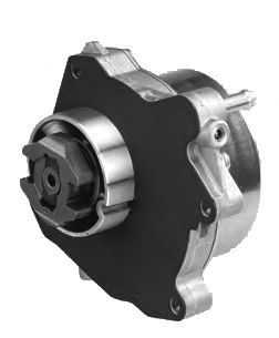 Vacuum Pump, brake system 6900502