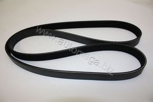 V-Belt; V-Ribbed Belts 3113400657