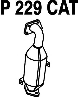 Catalytic Converter P229CAT