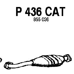 Catalytic Converter P436CAT