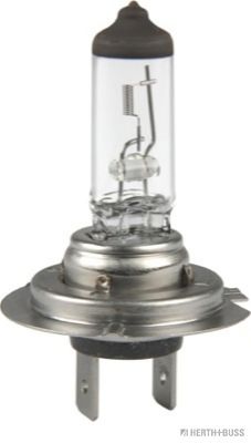 Bulb, spotlight; Bulb, headlight; Bulb, fog light; Bulb 89901202