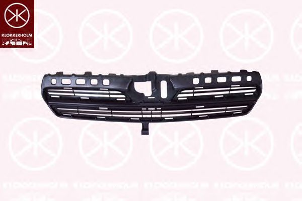 Radiator Grille 8116995A1