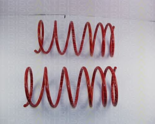 Suspension Kit, coil springs 8755 38005