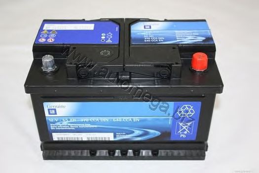 Starter Battery 1112010213