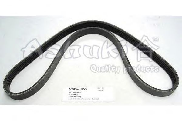 V-Ribbed Belts VM5-0955