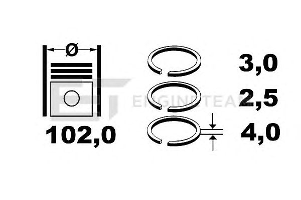 Piston Ring Kit R1000800