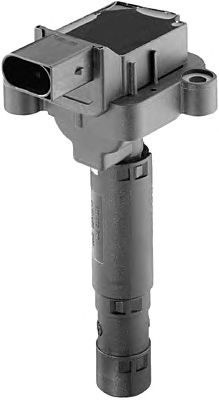 Ignition Coil 10456