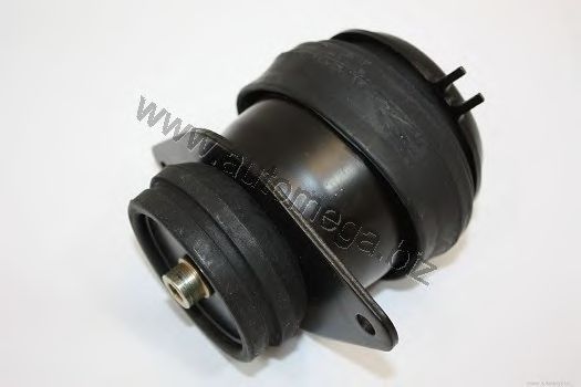 Engine Mounting 1019902621H0A