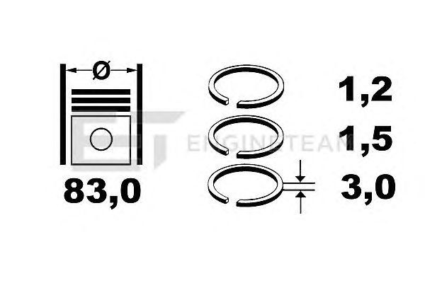 Piston Ring Kit R4000300