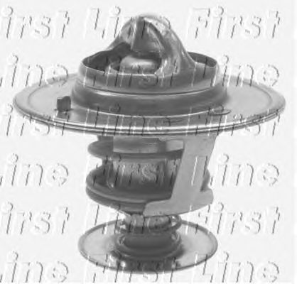 Thermostat, coolant FTS153.82