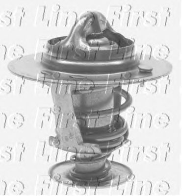 Thermostat, coolant FTS233.77