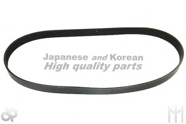 V-Ribbed Belts VM8-1170