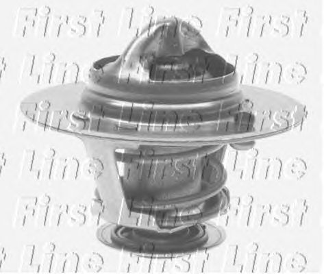Thermostat, coolant FTS248.79