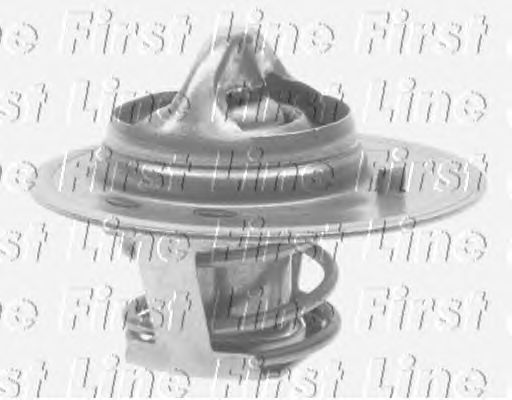 Thermostat, coolant FTS110.88