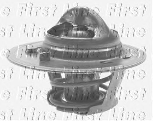 Thermostat, coolant FTS232.82