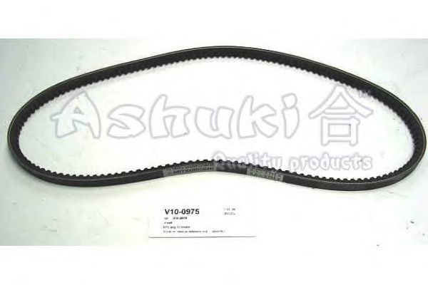 V-Ribbed Belts V10-0975